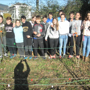 ALTER-net participants, Spain, by A.H. Ikastola