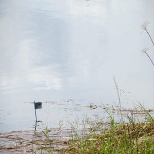 Flooded tea in Sweden Jul 2014. By J. Sarneel