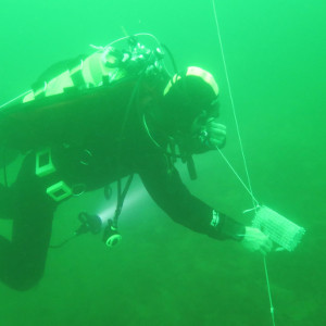 Diver planting tea bags in Italy. 2016. By P. Redolfi