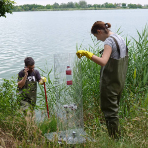 Tea decomposition in Serbian lakes. 2016.By M. Lenhardt.